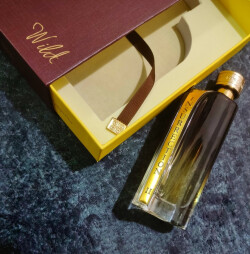 رایان تردیشن اینسورکشن وایلد ۲