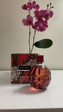 زیبا، سرکش و سرشار از حس زندگی 