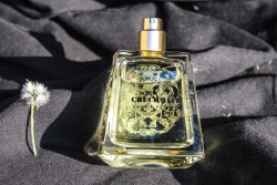 حس خوب وقت گذروندن تو کلبه وسط یه باغ پر از گل🏕