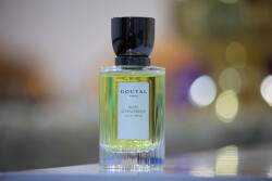 آنیک گوتال بویز دی هدرین