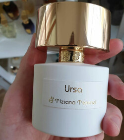 تیزیانا ترنزی ارسا