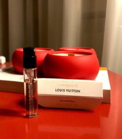 Louis Vuitton - ال ایمنسیت