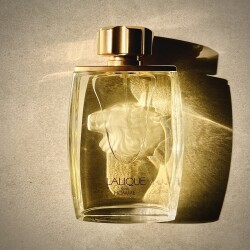 Lalique Pour Homme