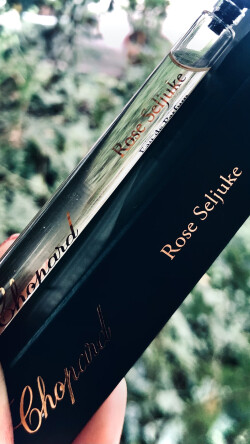 رز های دربار سلجوقی، نمایندگی دمشق