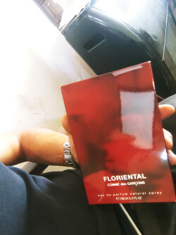 کوم دس گغسونس فلورنتیال