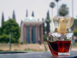 دمی با سعدی 