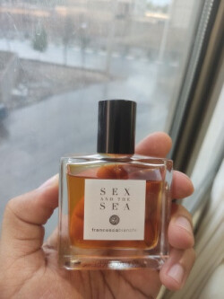 س.ک.س اند د سی در یک روز بارانی