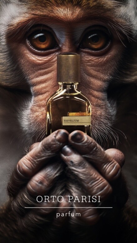 Risvelium ortoparisi 