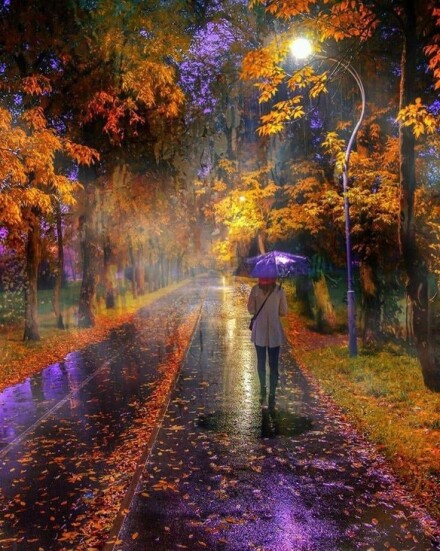 خش خش خزان.....