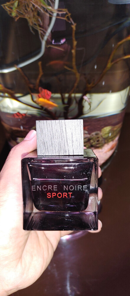 خوشبوی بی حال😁