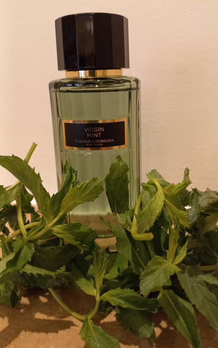 میکس خنک همیشگی