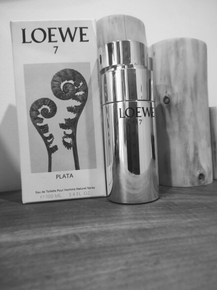 LOEWE# PLATA