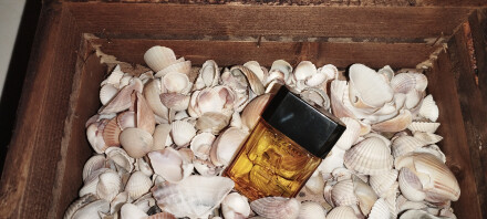 بزرگ آقای نوستالژیک....