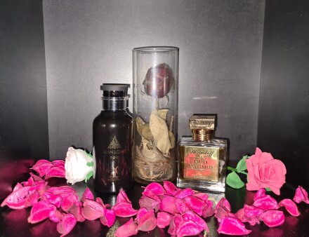 رز، گل محمدی، گلاب، گل سرخ