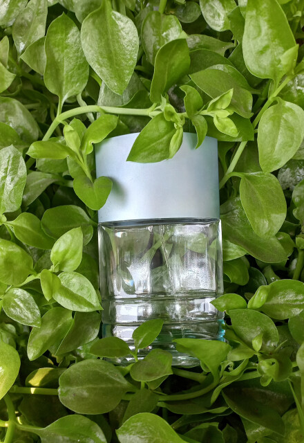 ترم تابستانی...