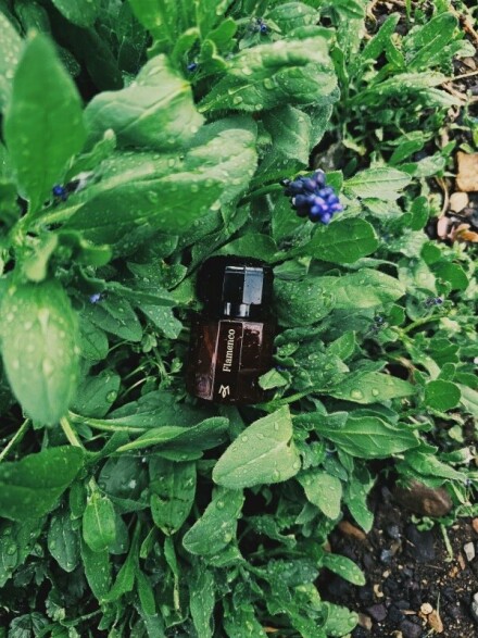  Ramon monegal - flamenco 