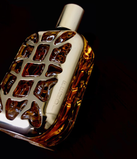 Gold vs Silver ⚱️🪙