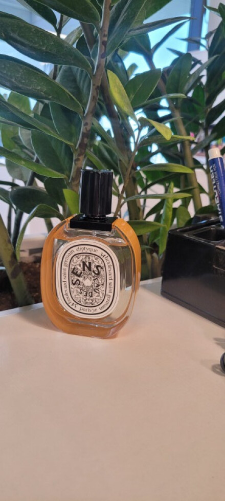 دیپتیک ایمپاسیبل بوکت او دس سنس