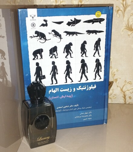 فیکورس لاکچری بلک