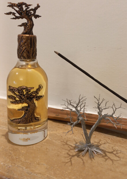 اولین تجربه