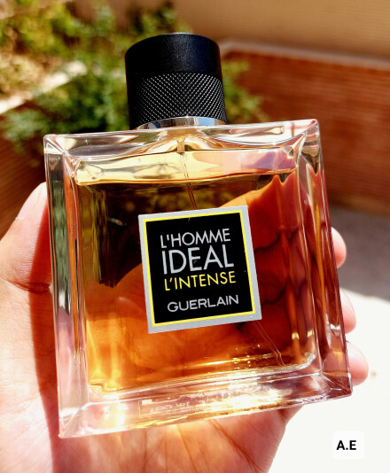 گرلن ایدیال اینتنس ، آخرین نوادگانِ پادشاه