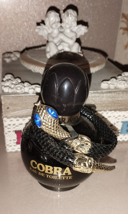 خاطرات بر باد رفته.....