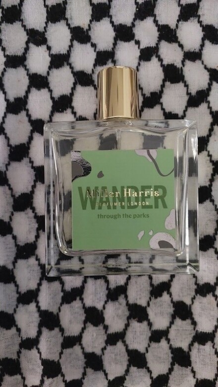 Wander throw the park & Falling into the sea