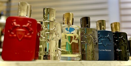 خرامیدن اسب های رام نشدنی 