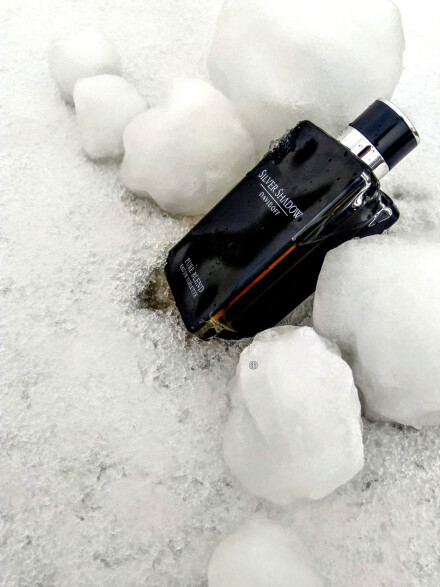 Sotd  ❄️❄️❄️