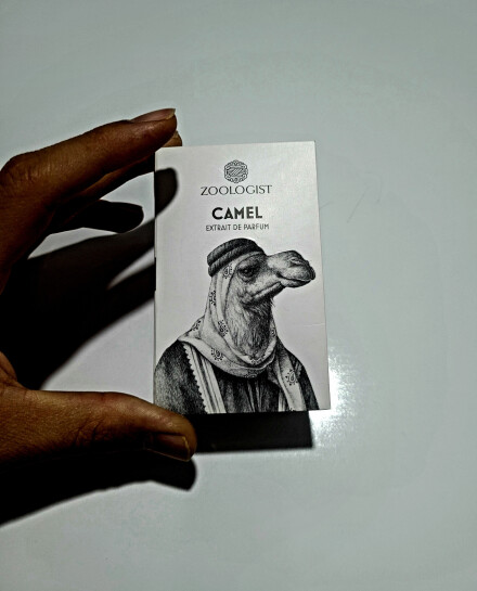 Zoologist / camel