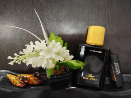 ❤️‍🔥زینو❤️‍🔥