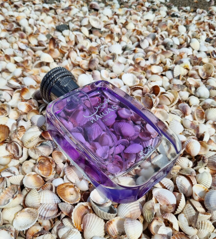 هَوَسِ باطِل