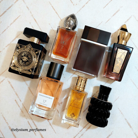 نیش یا دیزاینر ؟