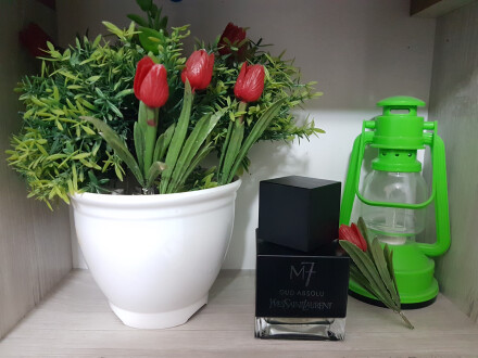 عودی آرام ؛ دلچسب و بی هیاهو!