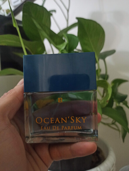 اوشین اسکای، فرش به معنای واقعی ولی نایاب در ایران 