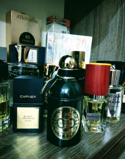 جای نت رز ایرانی خیلی خالیه...