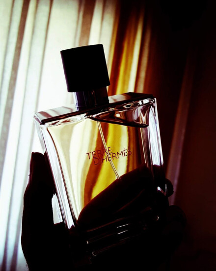 Hermes Terre D'Hermès