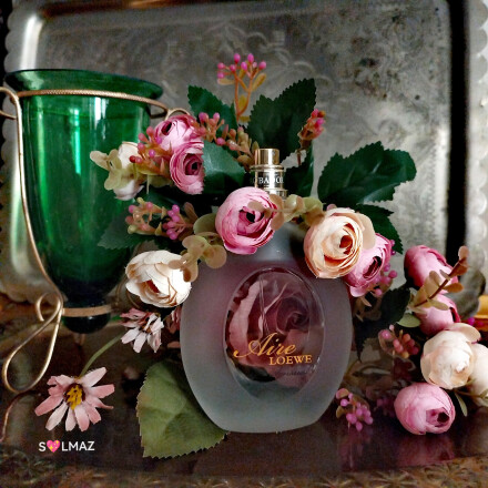 Loewe🍊🍋🍏🌼🪵