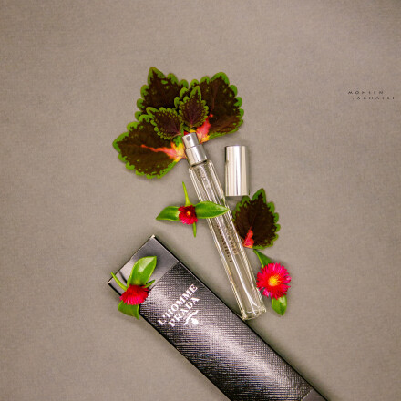 پرادا لهوم دوست داشتنی!