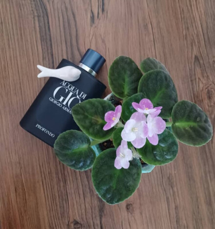 GIORGIO ARMANI - Acqua di Giò Profondo