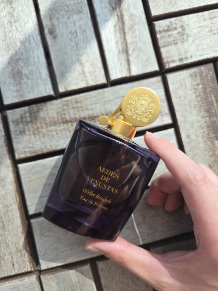 Aedes devenustas olliet bengale