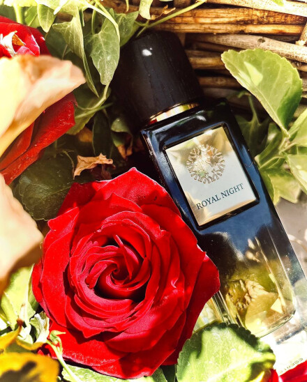 The Woods Collection-Royal Night