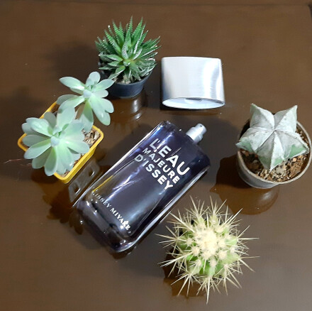 نسیمِ گسِ دریای جنوب