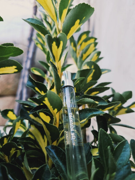 Les Liquides Imaginaires ILe Pourpre