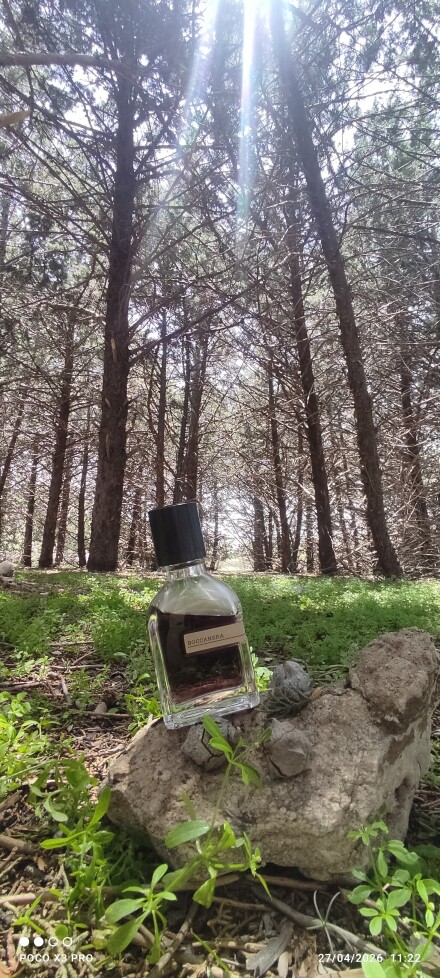 BOCCANERA