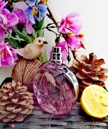 Loewe💟🌼🪵🍋🍯Quizas,Quizas,Quizas EDT