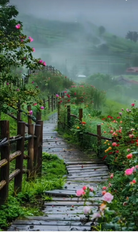 آرامش سبز.....