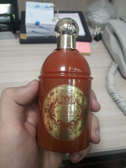 گرلن همیشه پیشتاز و حرفه ایی