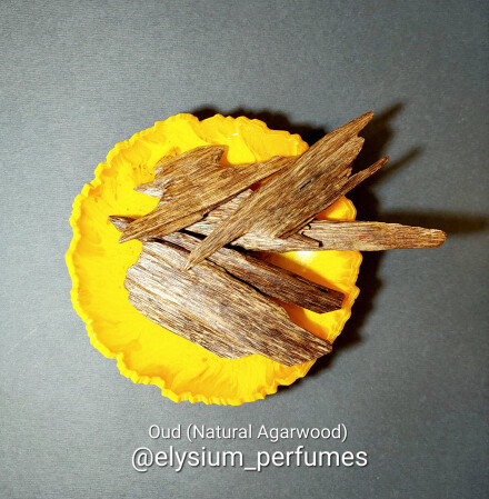 Agarwood (Oud)