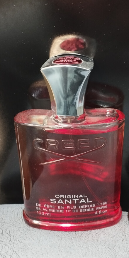 درخت دارچین...